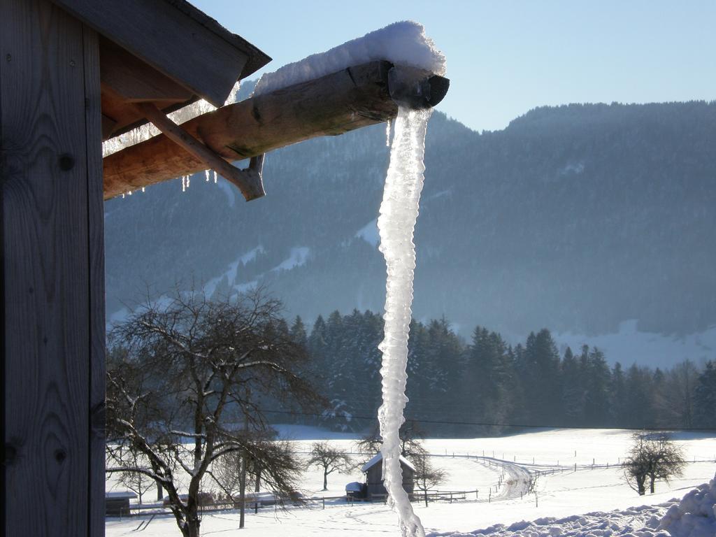 Schweizer Hof Villa Schwarzenberg im Bregenzerwald Bagian luar foto