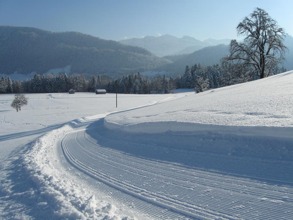 Schweizer Hof Villa Schwarzenberg im Bregenzerwald Bagian luar foto